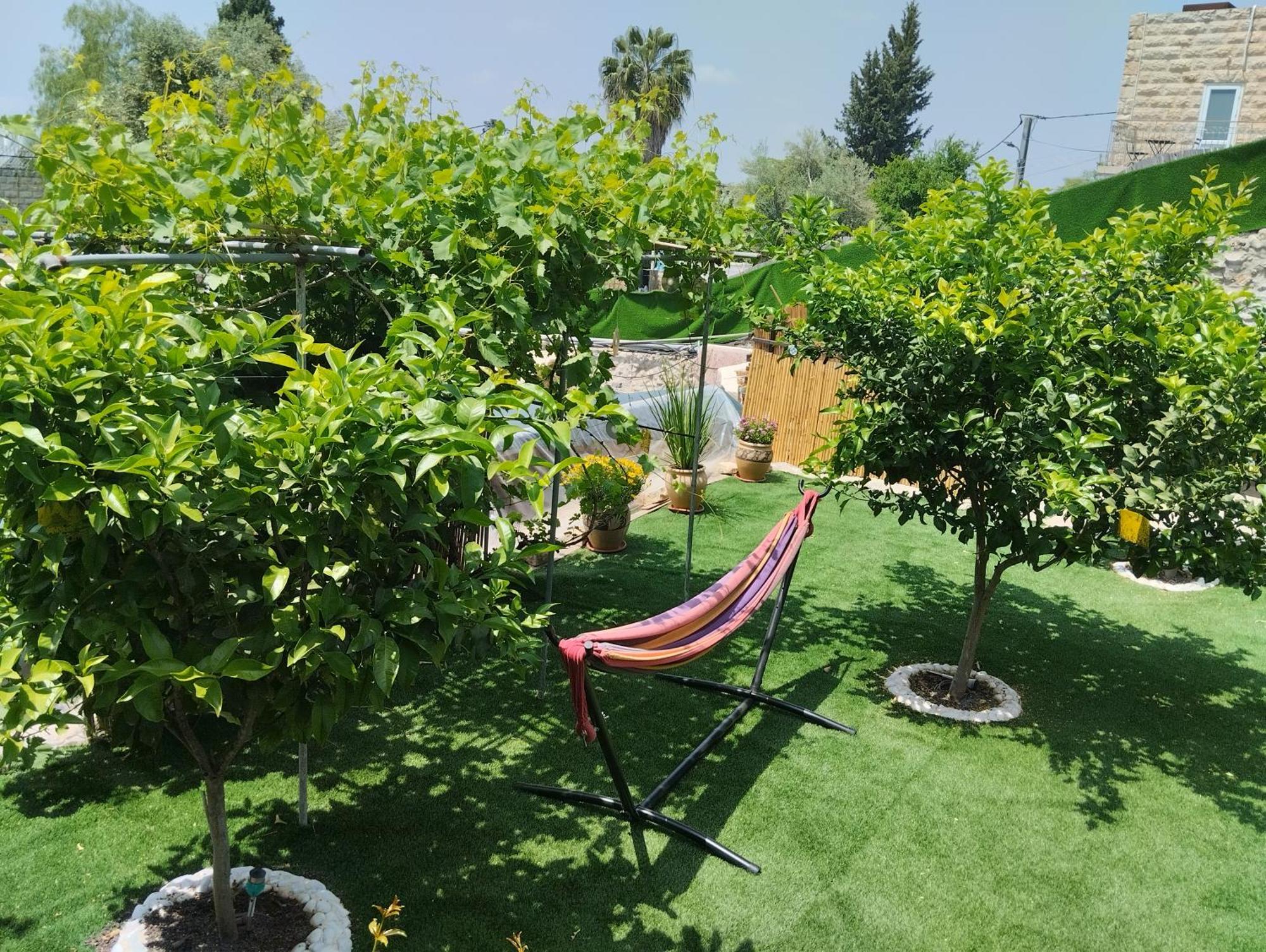 Ferienwohnung קסם עין כרם Jerusalem Exterior foto